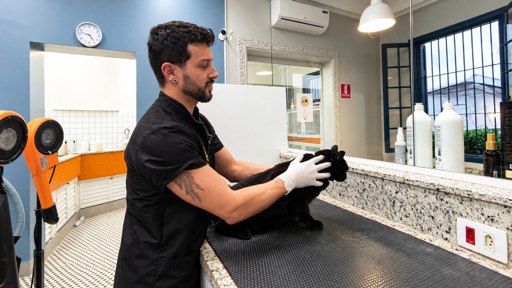 Cuidados estéticos com um gato na Clínica Frei Caneca